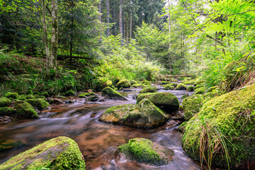 wildbach, wasserfall, natur,