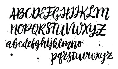 Vector hand drawn alphabet. Brush painted letters. Handwritten script alphabet. Hand lettering and custom typography for your designs: logo, for posters, invitations, cards, etc. Vector type.