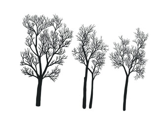 Obraz premium Hand Drawn Collection of Tree Silhouettes. Hand Drawn Isolated on White Background. Seasonal concept. Autumn and winter garden. Vector Illustrations.
