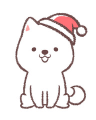 白柴犬とクリスマスの帽子
