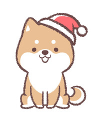 柴犬とクリスマスの帽子