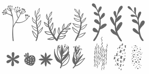 Set of hand drawn shapes and doodle floral design elements. Botany silhouettes and abstract shapes collection with scribble effect. Vector decorative strawberry, flower and brunch.