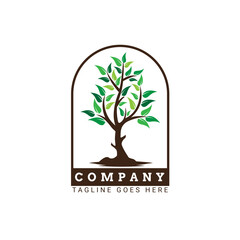 Obraz premium tree logo design vector, nature element logo design template