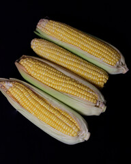 Sweet corn isolated on dark background. This corn can be served in various processed forms. Whether it's boiled, baked, or mixed with other foods to serve as a side dish or snack. Corn mockup.