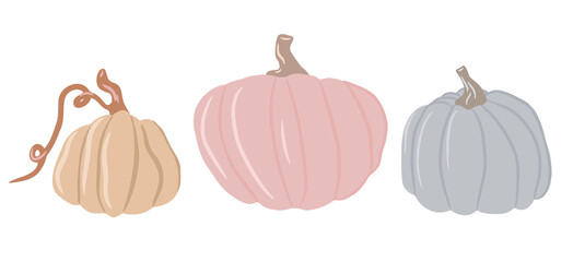 Collection of cute colored pumpkins, delicate shades of pumpkin, isolated white background, set of autumn pumpkin, autumn vegetable. Cartoon illustration, modern design. Halloween pumpkin. Vector