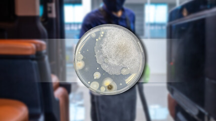 Bacteria on agar plate from air with blurred staff spraying to prevent bacteria.