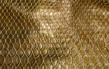 Fish-like scales with golden and shining colors. Abstract Background. Life-like textures in fashion, handbags and exclusive packaging cases for luxury items. © ysk1