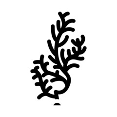 cladophora glomerata seaweed glyph icon vector. cladophora glomerata seaweed sign. isolated contour symbol black illustration