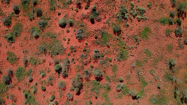 Cinematic aerial top view of a wild desert landscape in the Australian outback