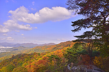 단풍이 절정인 가을산 배경