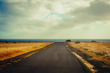 Paved road in a field
