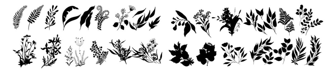 floral design elements silhouettes. flower, floral, vector, design, illustration, pattern, decoration, ornament, black, element, leaf, art, plant, butterfly.