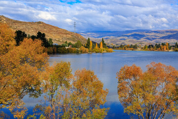 Obraz premium A deep blue lake surrounded by autumn trees. Photographed at Lake Dunstan, Cromwell, New Zealand
