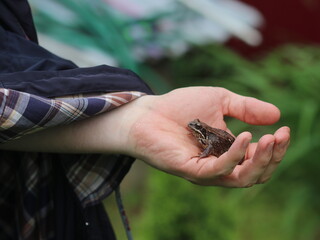 Obraz premium A close up of a person holding a bird