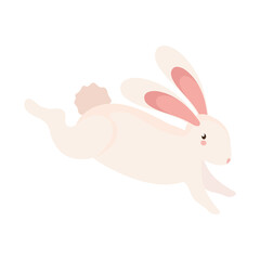 little rabbit jumping