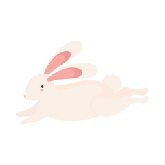 little rabbit running