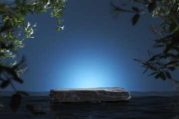 Black stone slab on water and highlight on blue background. Blur plants foreground. Mockup...
