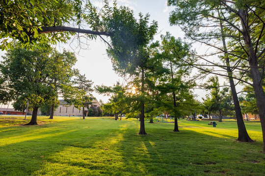 Sunny view of the Stephenson Park