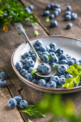 Freshly picked blueberries in a  bowl. Juicy and fresh berries with green leaves on a rustic table.  Healthy food and nutrition concept
