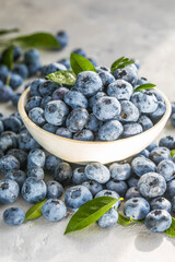 Freshly picked blueberries in a  bowl. Juicy and fresh berries with green leaves on a rustic table.  Healthy food and nutrition concept