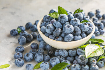 Freshly picked blueberries in a  bowl. Juicy and fresh berries with green leaves on a rustic table.  Healthy food and nutrition concept