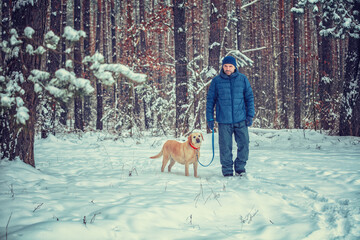 Happy man with dog walking in a winter snowy forest