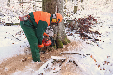 Holzfäller mit Kettensäge fällt einen Baum im Winter