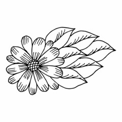 Freehand drawing of black and white flowers and leaves. Vector drawing for a coloring book. Doodle or sketch style.