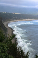 beach ocean view with trees and sand summer clouds blue 