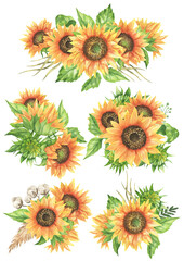 Sunflower set illustration