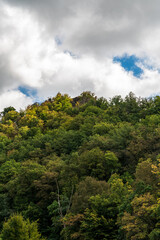 Fototapeta premium Early autumn deciduous forest in Podyji National park in Czech republic