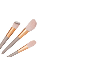 Makeup brushes isolated on white background. Copy space