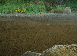Wave on the sandy beach at twilight.