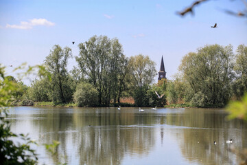 Obraz premium rassemblement d'oiseau sur un étang des hauts de France avec l'Eglise de Marquillies