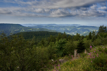 Landscape of the northern black forest. taken in summer from the highest mountain in the national park. Germany, Hornisgrinde.
