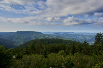 Landscape of the northern black forest. taken in summer from the highest mountain in the national park. Nice blue sky with clouds. Germany, Hornisgrinde.