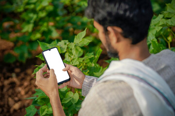 Indian farmer using smart phone at green cotton crop