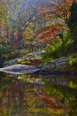 紅葉の嵐山渓谷・埼玉県