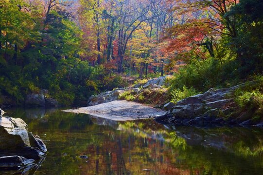 嵐山渓谷 Images Browse 123 Stock Photos Vectors And Video Adobe Stock