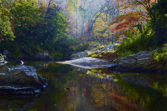 嵐山渓谷 Images Browse 123 Stock Photos Vectors And Video Adobe Stock