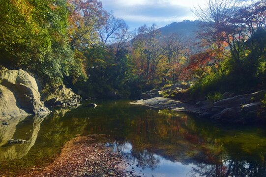 嵐山渓谷 Images Browse 123 Stock Photos Vectors And Video Adobe Stock