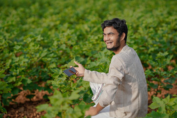 Indian farmer using smart phone at green cotton crop