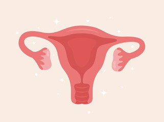Uterus. Woman reproductive health illustration. Gynecology. Anatomy. Vector illustration.