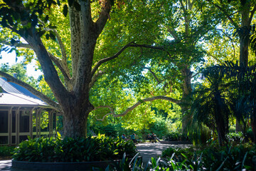 オーストラリア・アデレードの観光名所を旅行している風景 Scenes from a trip to Adelaide, Australia.