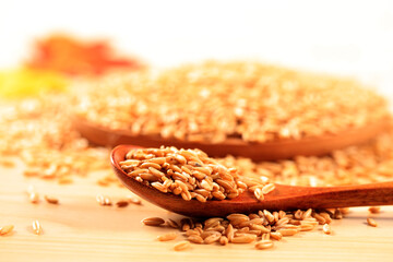 A close-up shot of oats