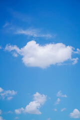 The sky is blue and white clouds are blooming