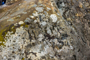close-up of a stone texture