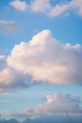 The sky is blue and white clouds are blooming