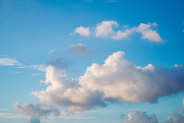 The sky is blue and white clouds are blooming