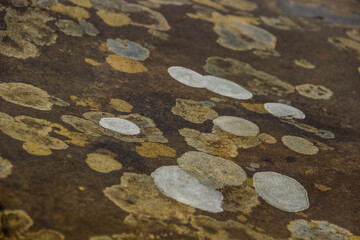 close-up of a stone texture